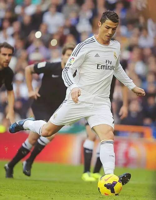 赫尔城的反 赫尔城的反